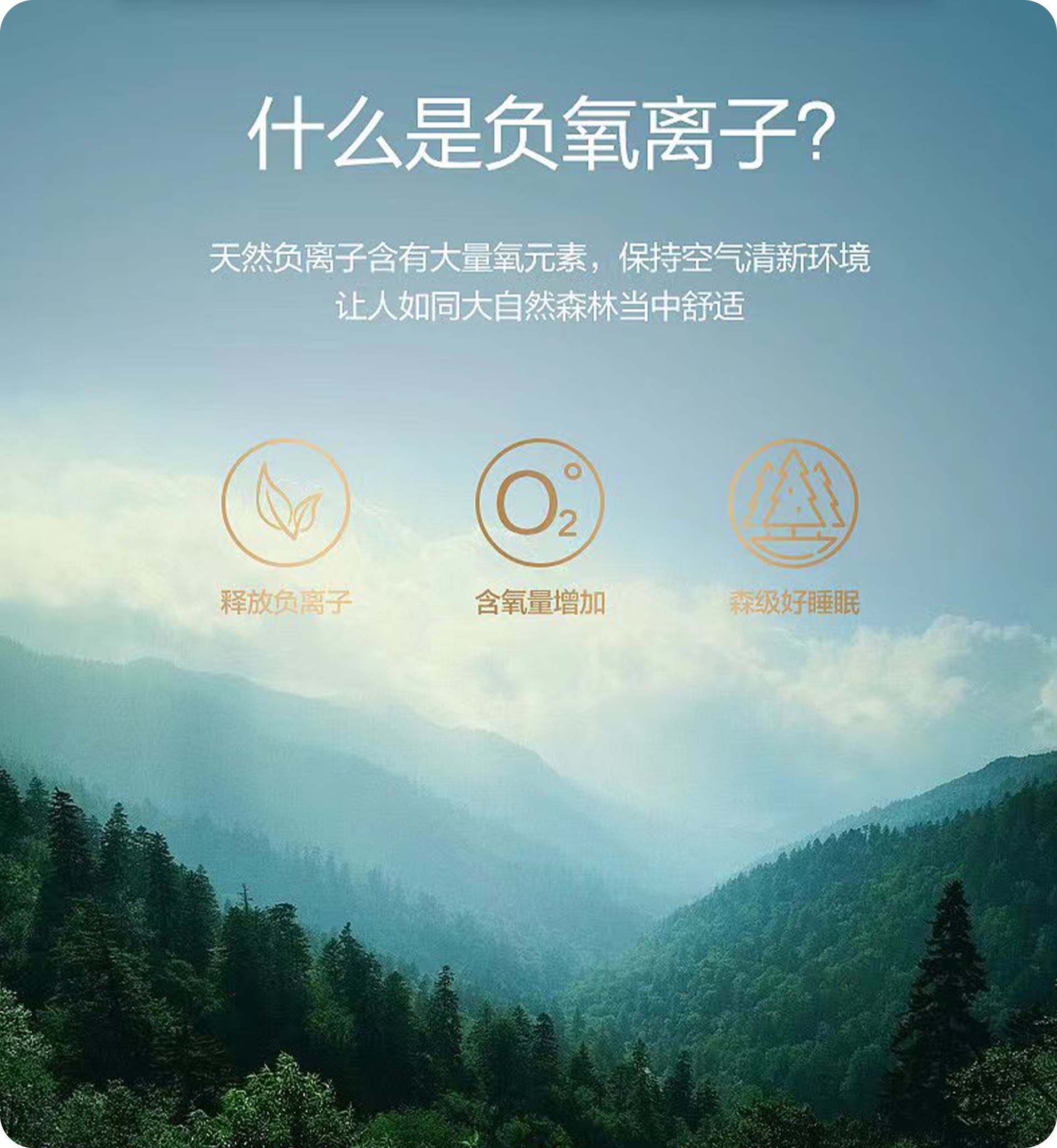 關于我們