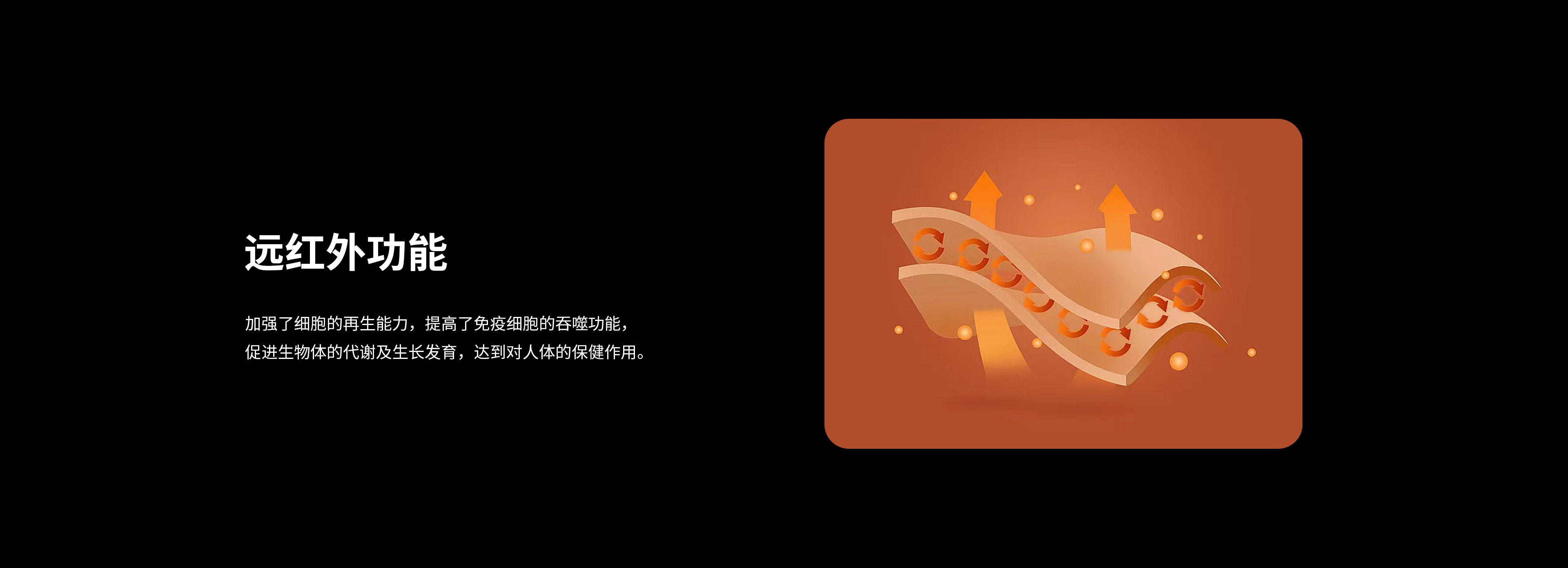 關于我們